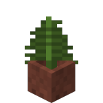 Potted Fern<br>