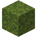 Moss Block<br>