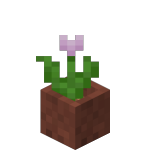 Potted Pink Tulip<br>