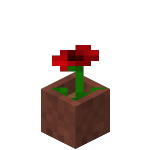 Potted Poppy<br>