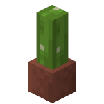 Potted Cactus<br>