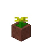 Potted Dandelion<br>