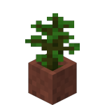 Potted Jungle Sapling<br>