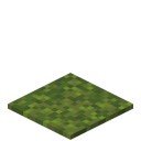 Moss Carpet<br>