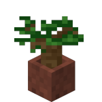 Potted Dark Oak Sapling<br>