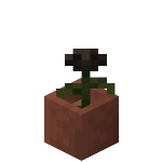 Maceta con rosa del Wither<br>