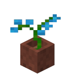 Maceta con orquídea azul<br>