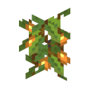 Planta de enredaderas de cueva<br>