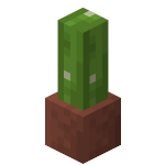 Cactus en pot<br>