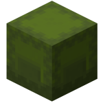 Boîte de Shulker verte<br>