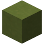 Terracotta lime<br>